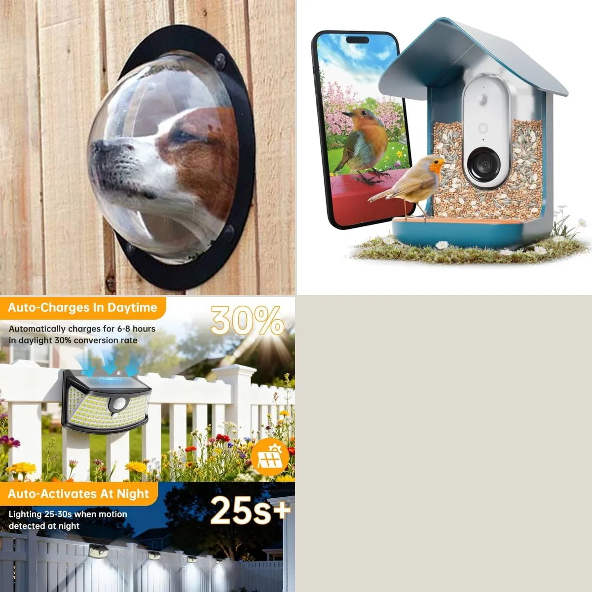 Small upgrades for the backyard