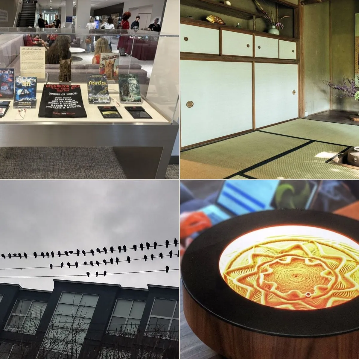 The week's catch — June 28–July 5