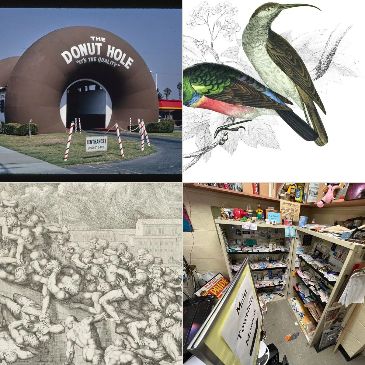 Collections of the overlooked