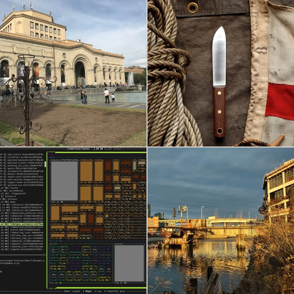 The week's catch — July 13–19