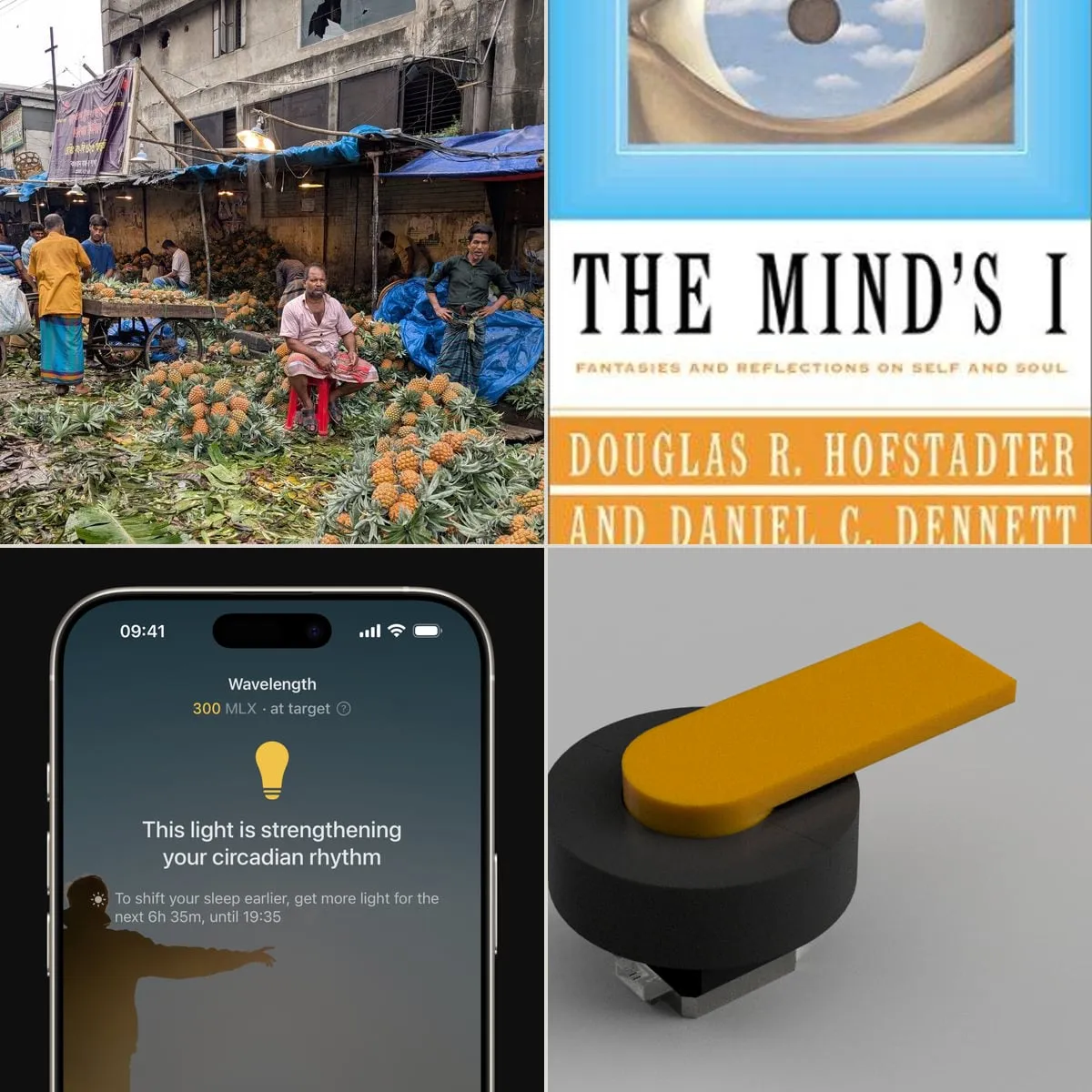 The week's catch — July 27 – August 2