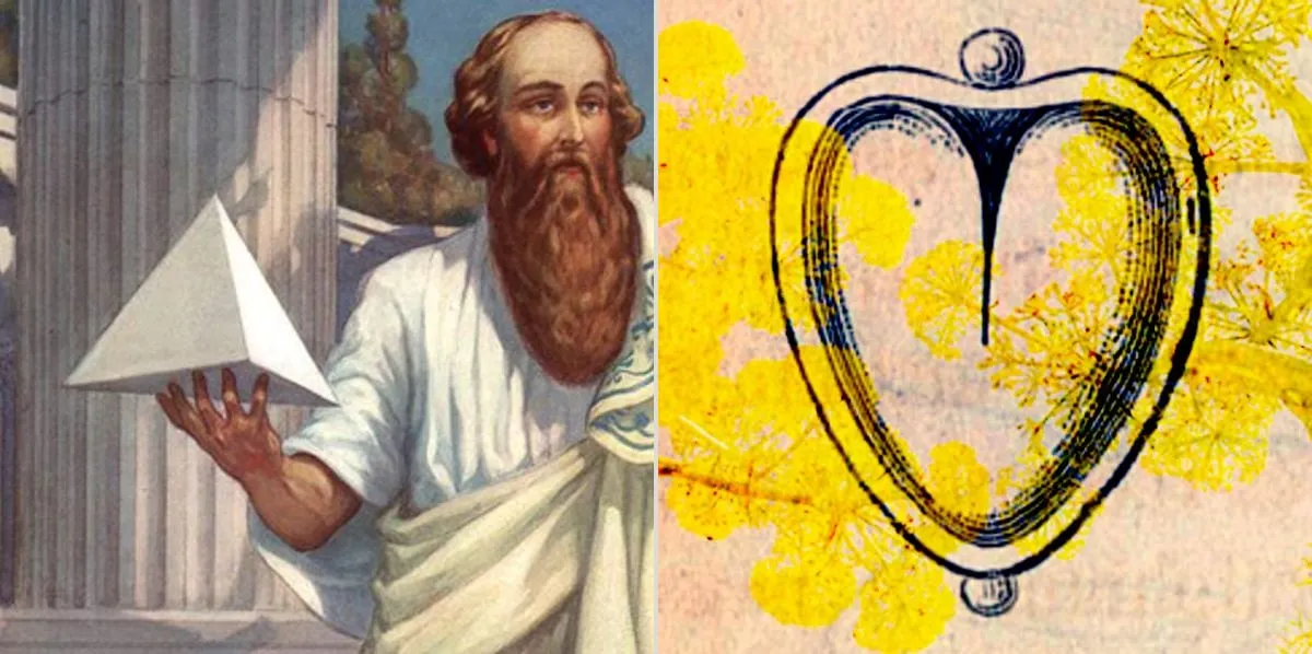 Where the word came from