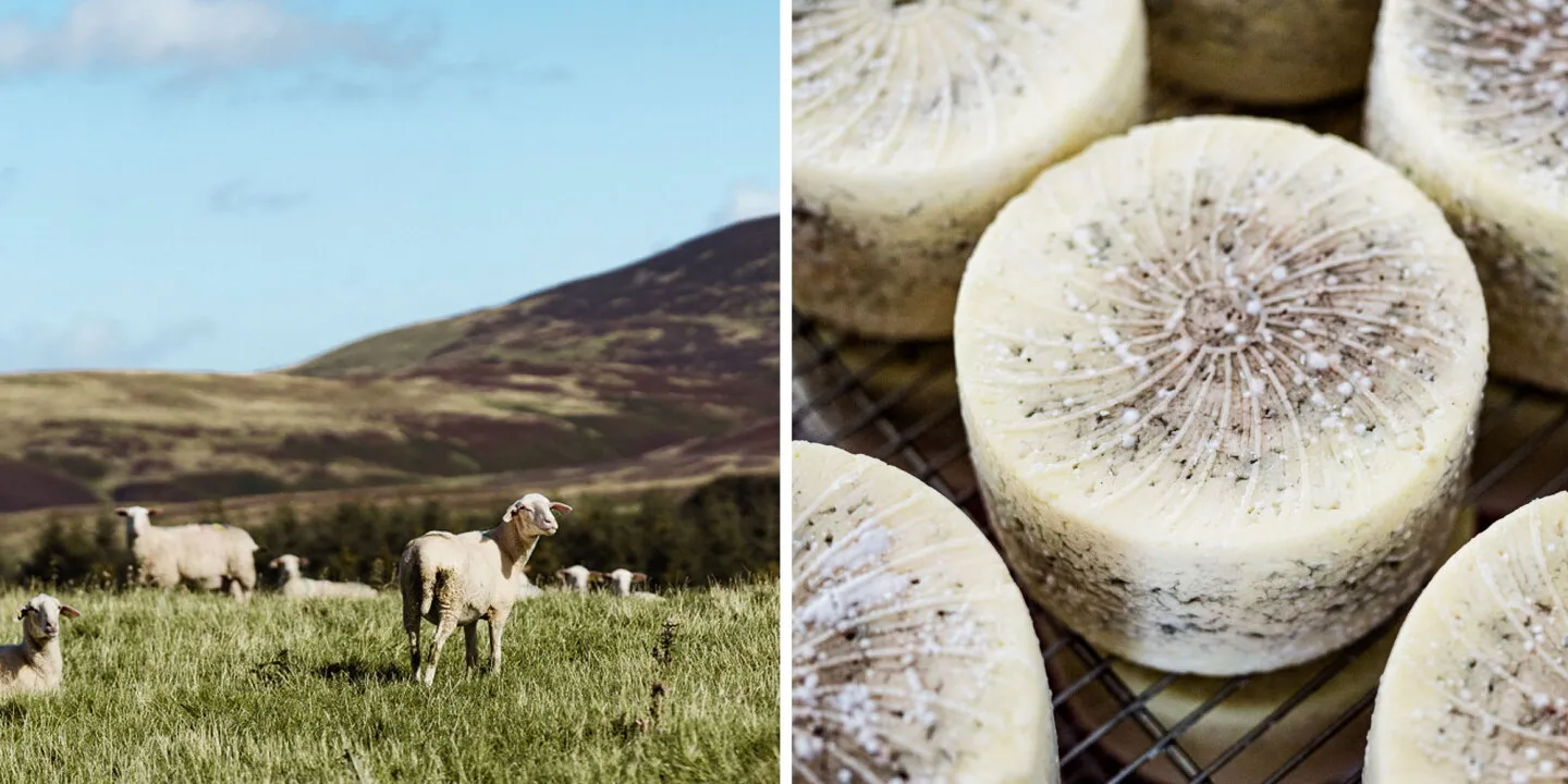 Scotland's Artisan Cheese Trail