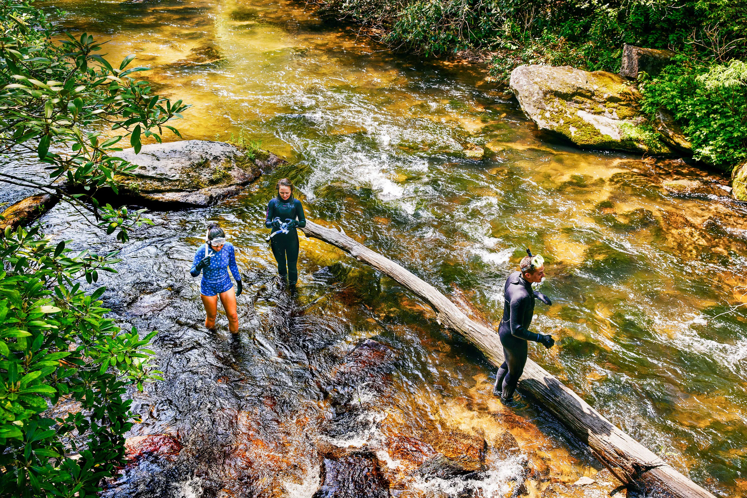 River Snorkeling in the Blue Ridge Mountains
