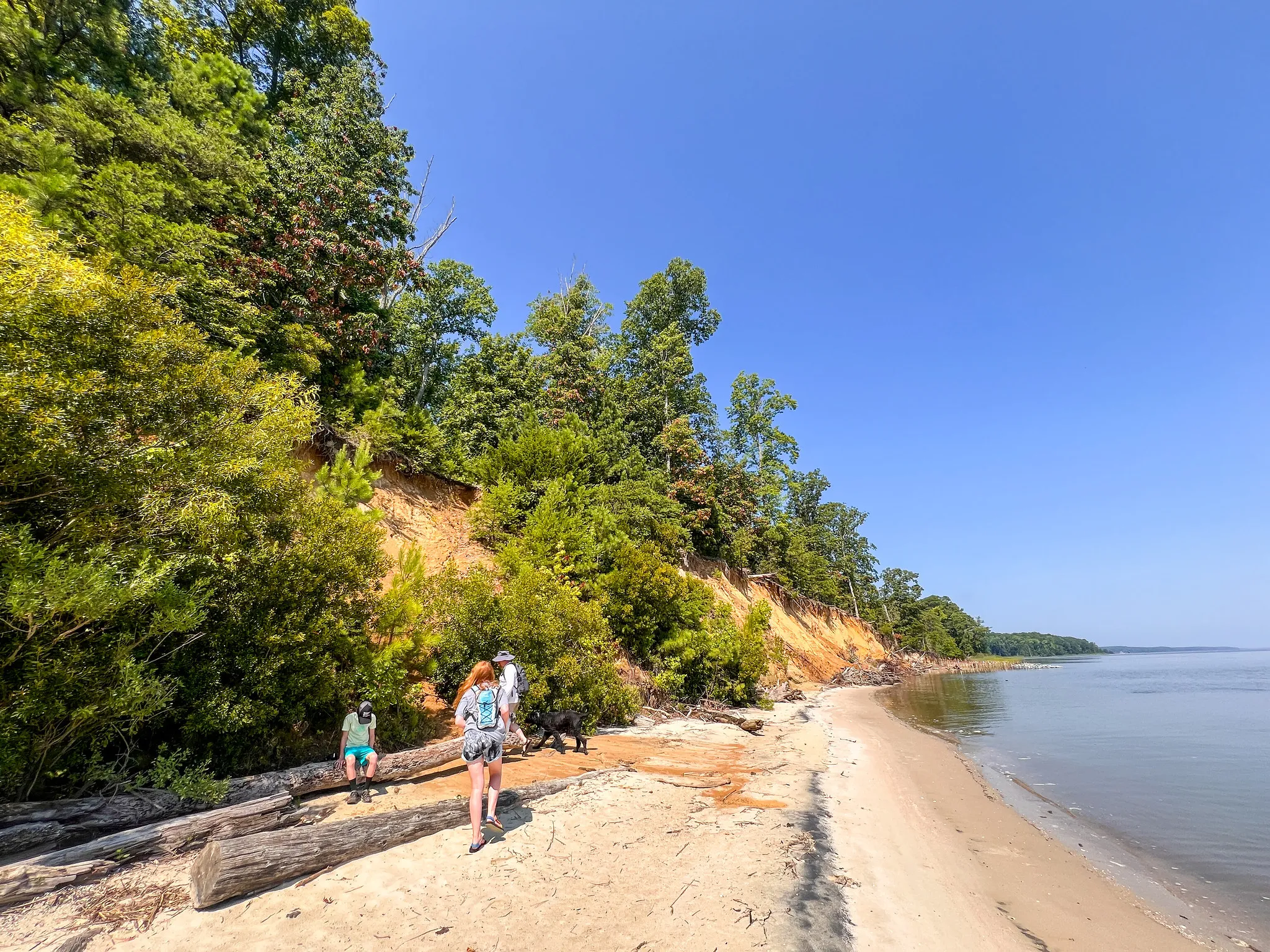 Fossil Beach at York River State Park