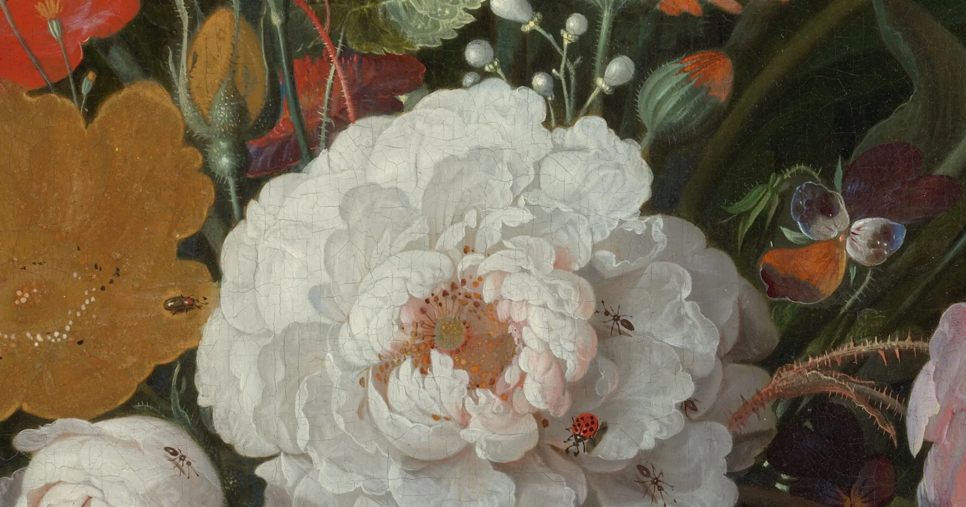 Rijksstudio