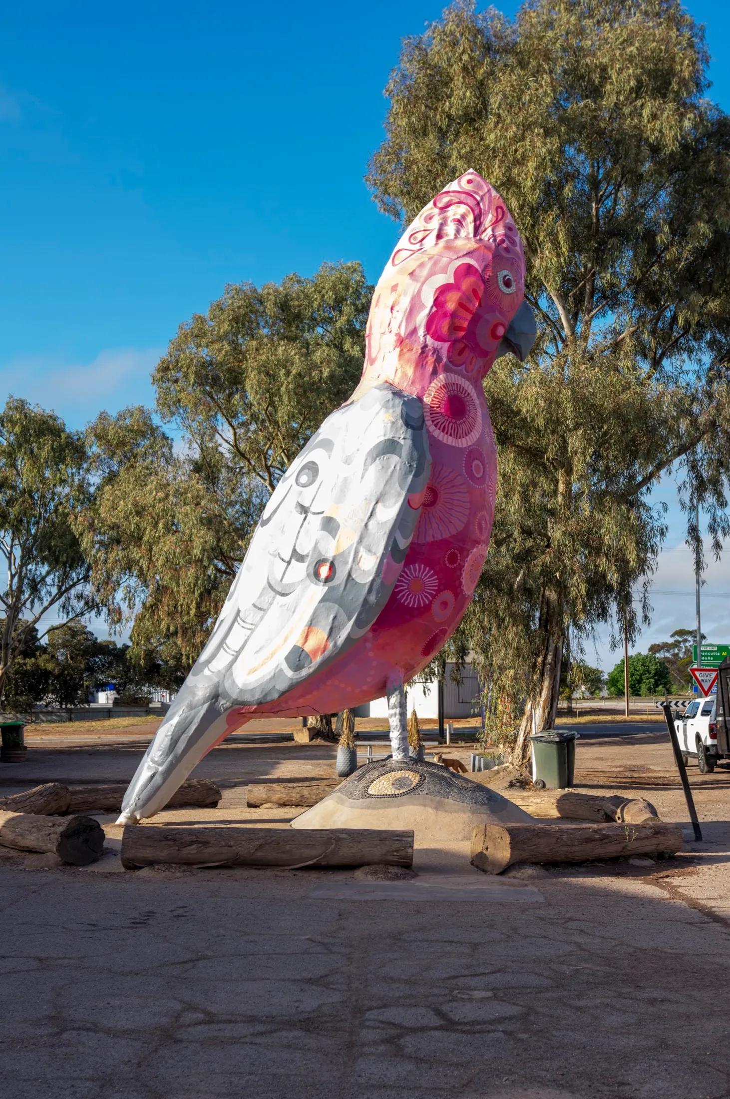 The Big Galah