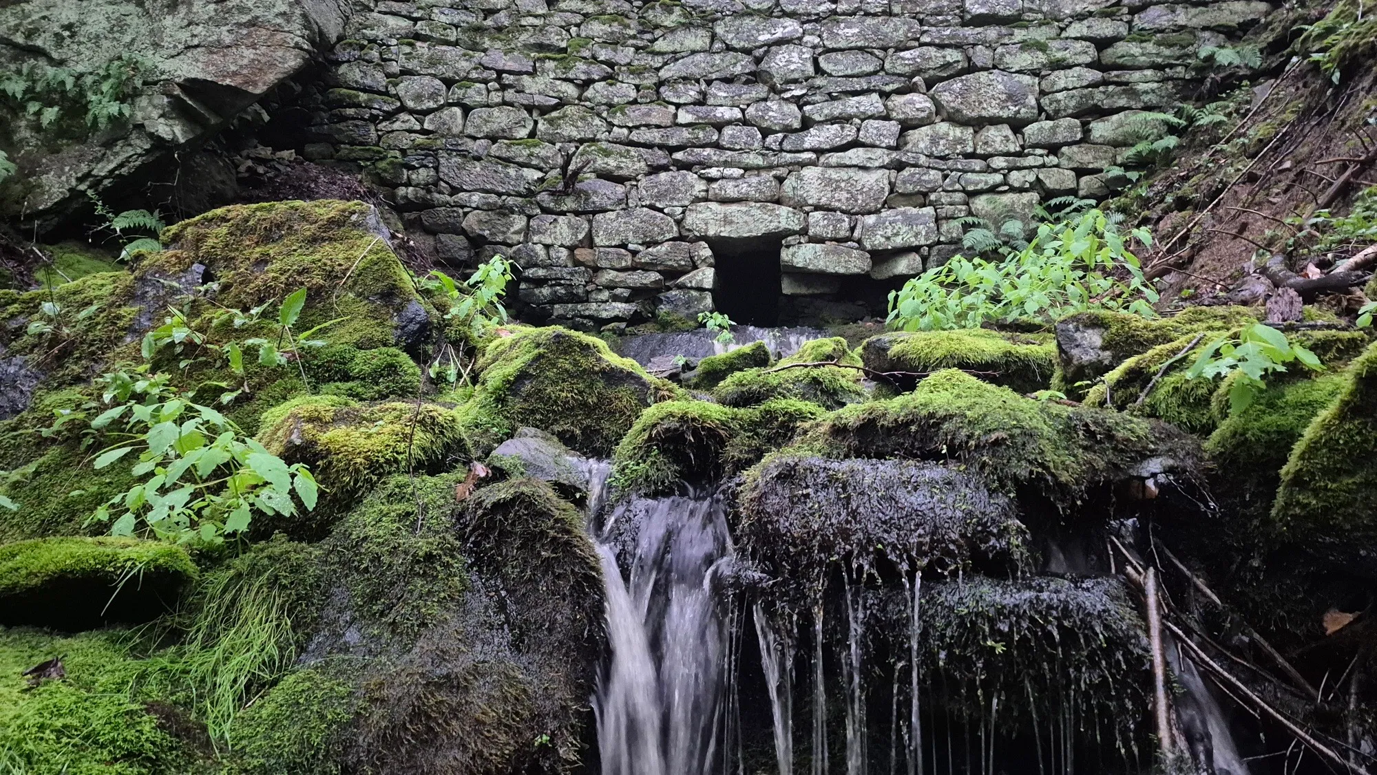 Old Route 5 Stone Wall