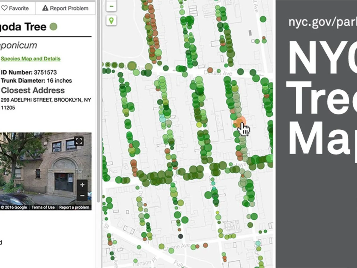 NYC Tree Map
