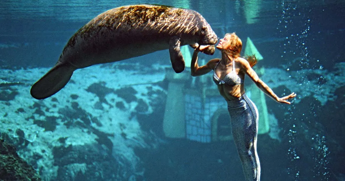 Weeki Wachee Springs State Park