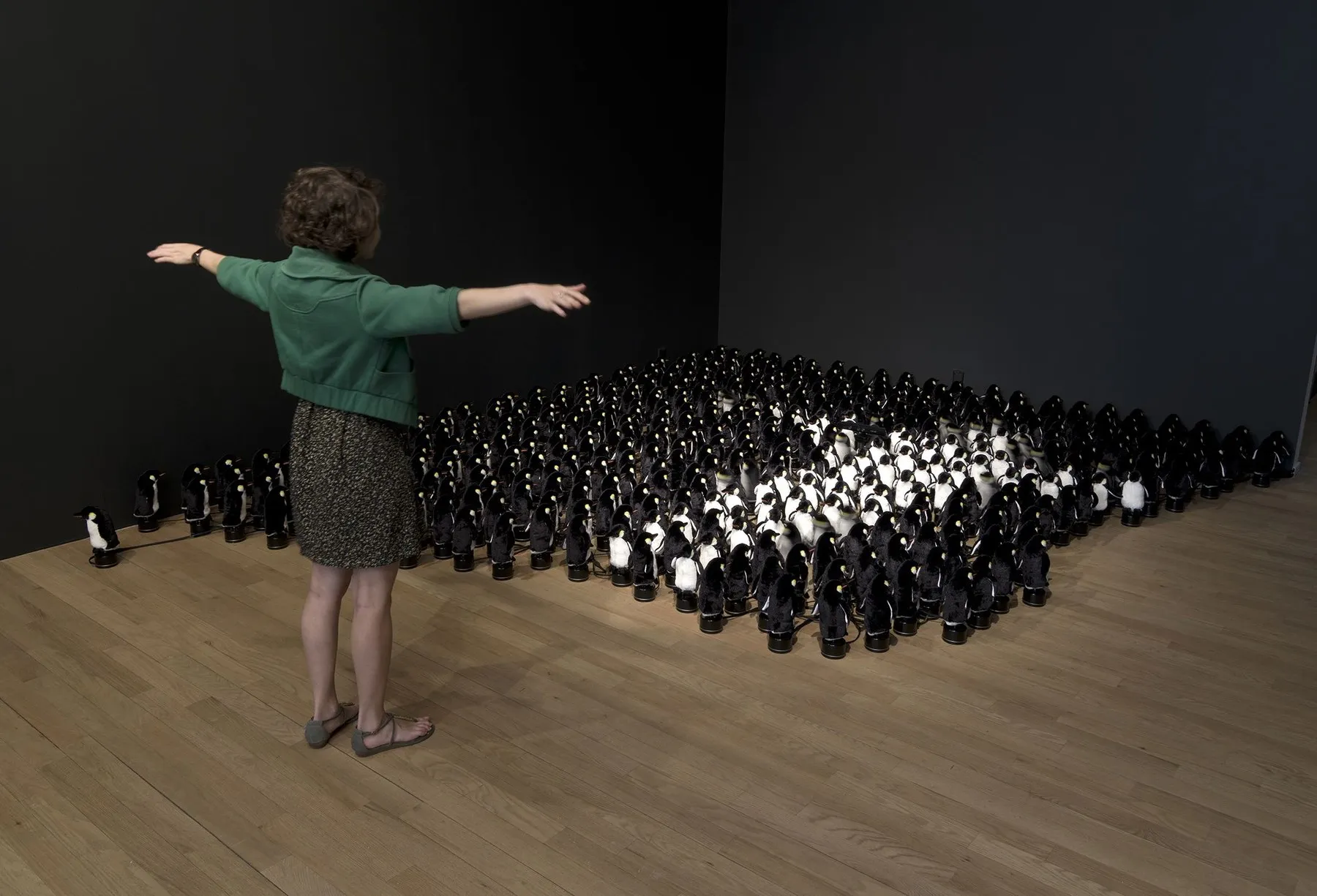 Penguins Mirror