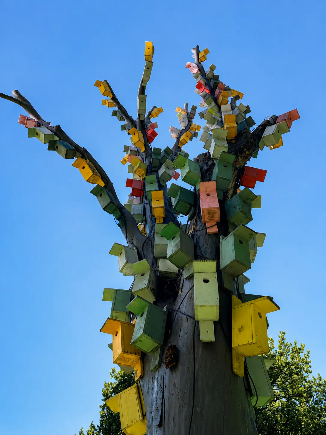 The Birdhouse Tree of Riga