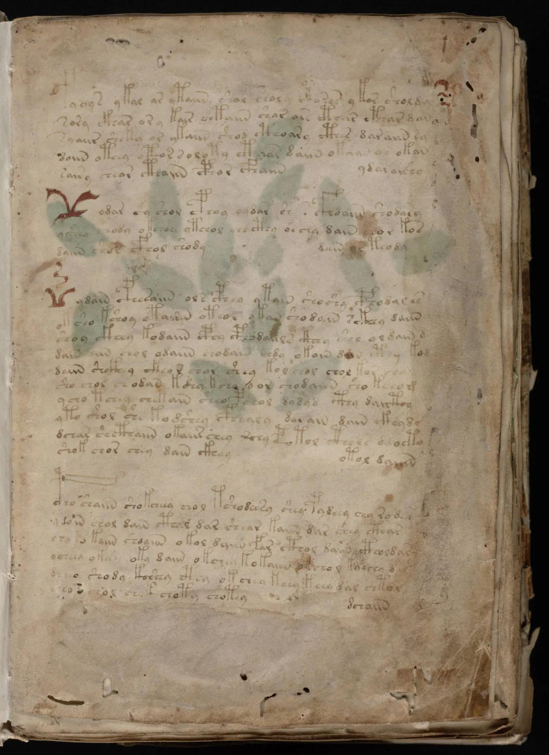 Voynich Viewer