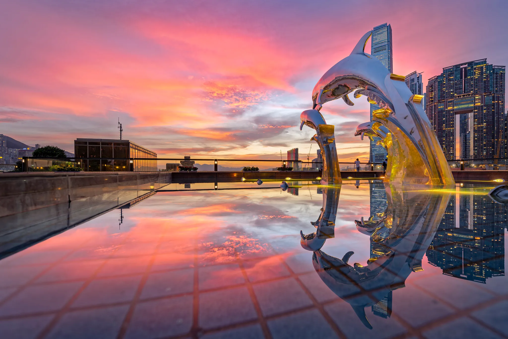Dolphin Sunset