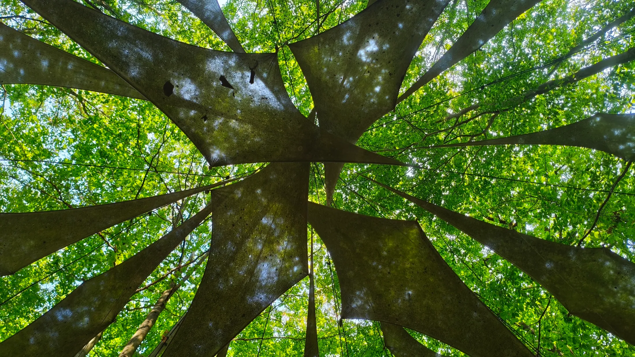 Waldkunstpfad