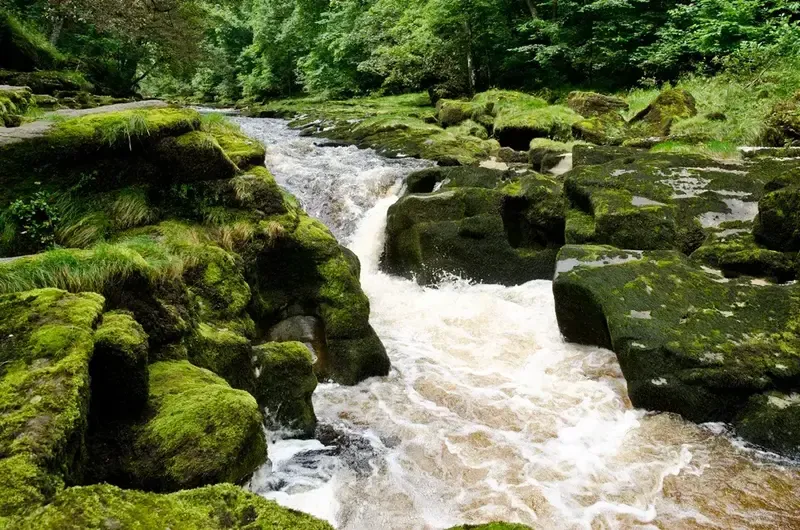 The Bolton Strid