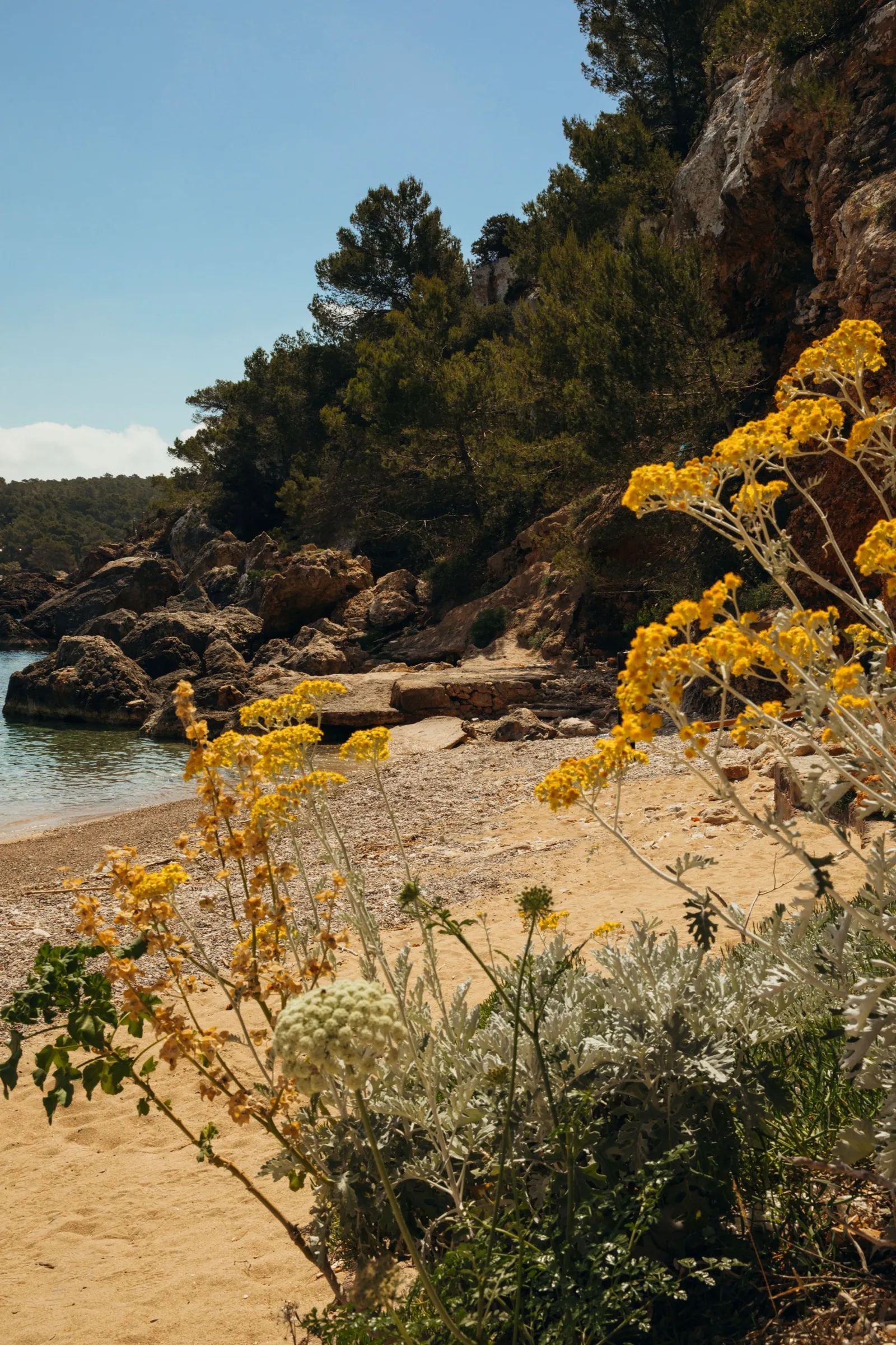 Nômade Temple Ibiza