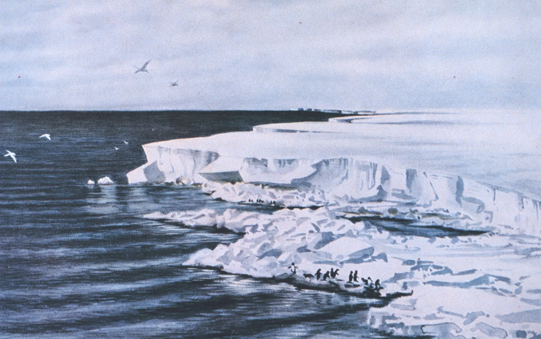Edward Wilson, the doctor who painted Antarctica