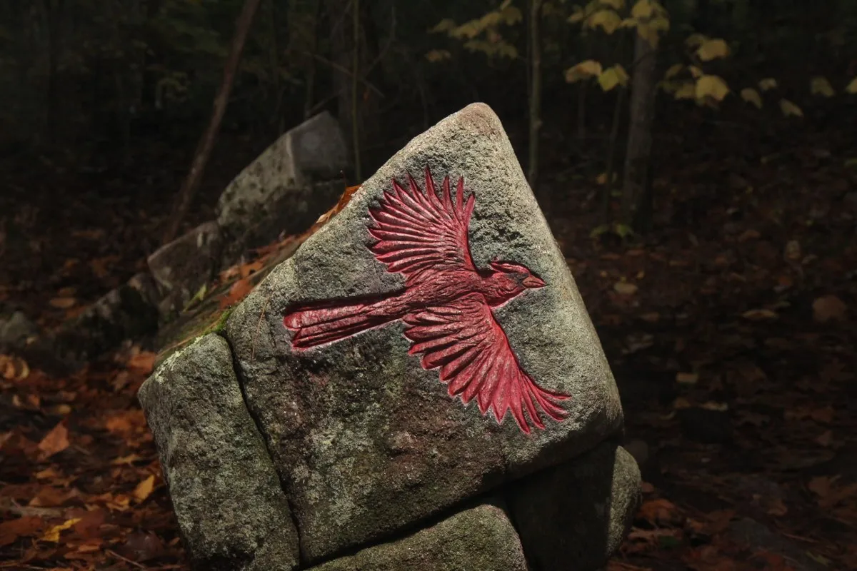 Wild Bird Petroglyph