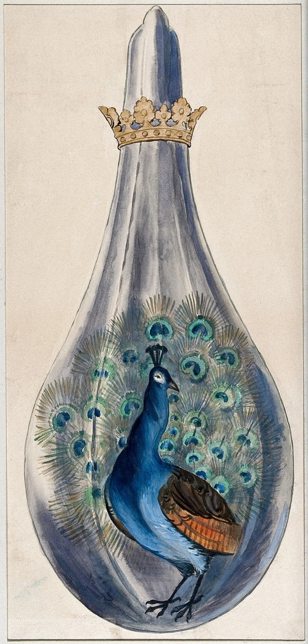 Splendor Solis