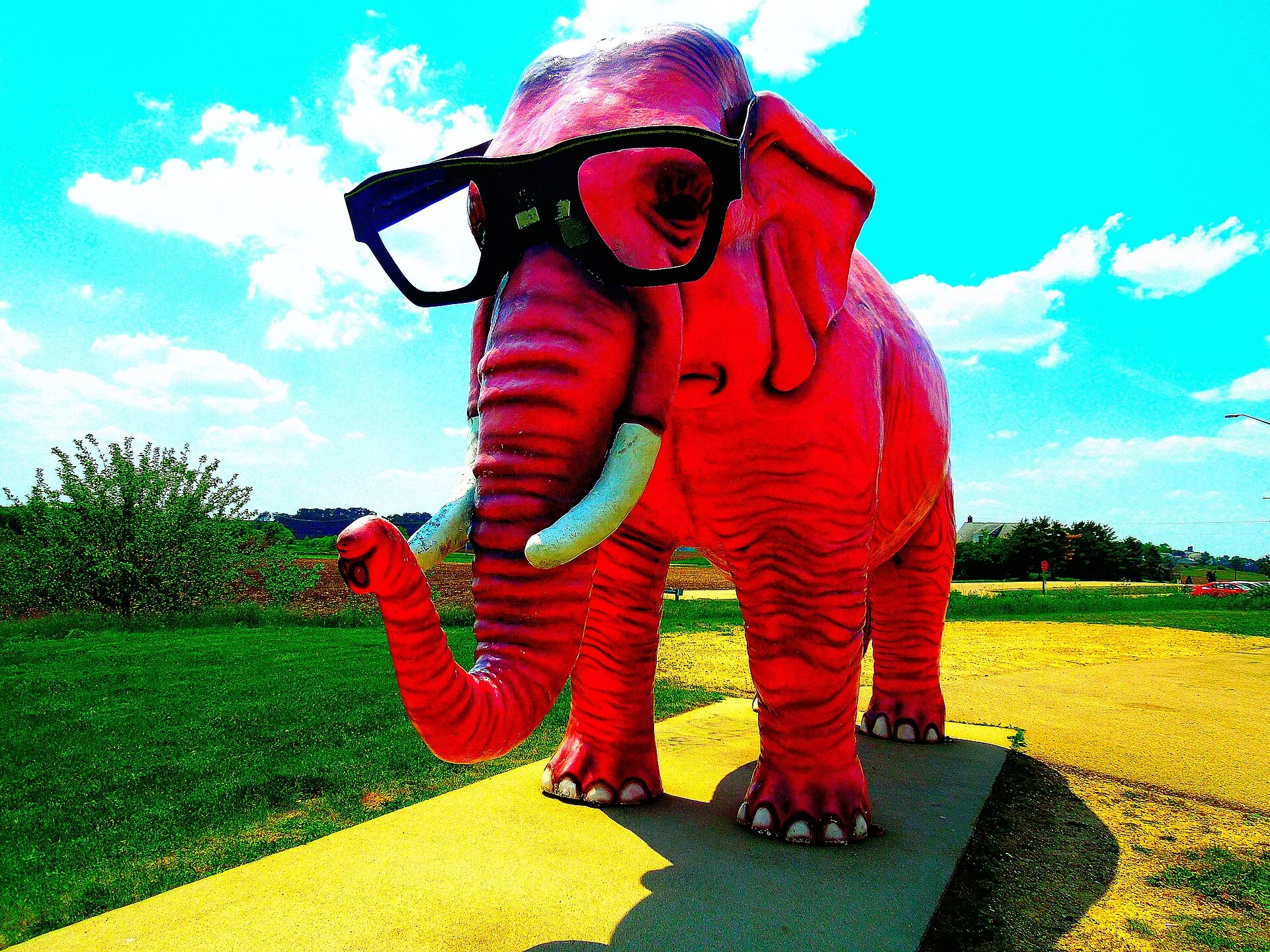 Pinkie the Pink Elephant