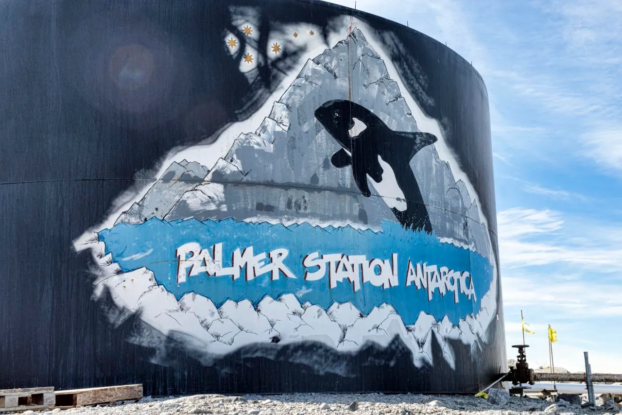 Fuel Tank Orca Mural