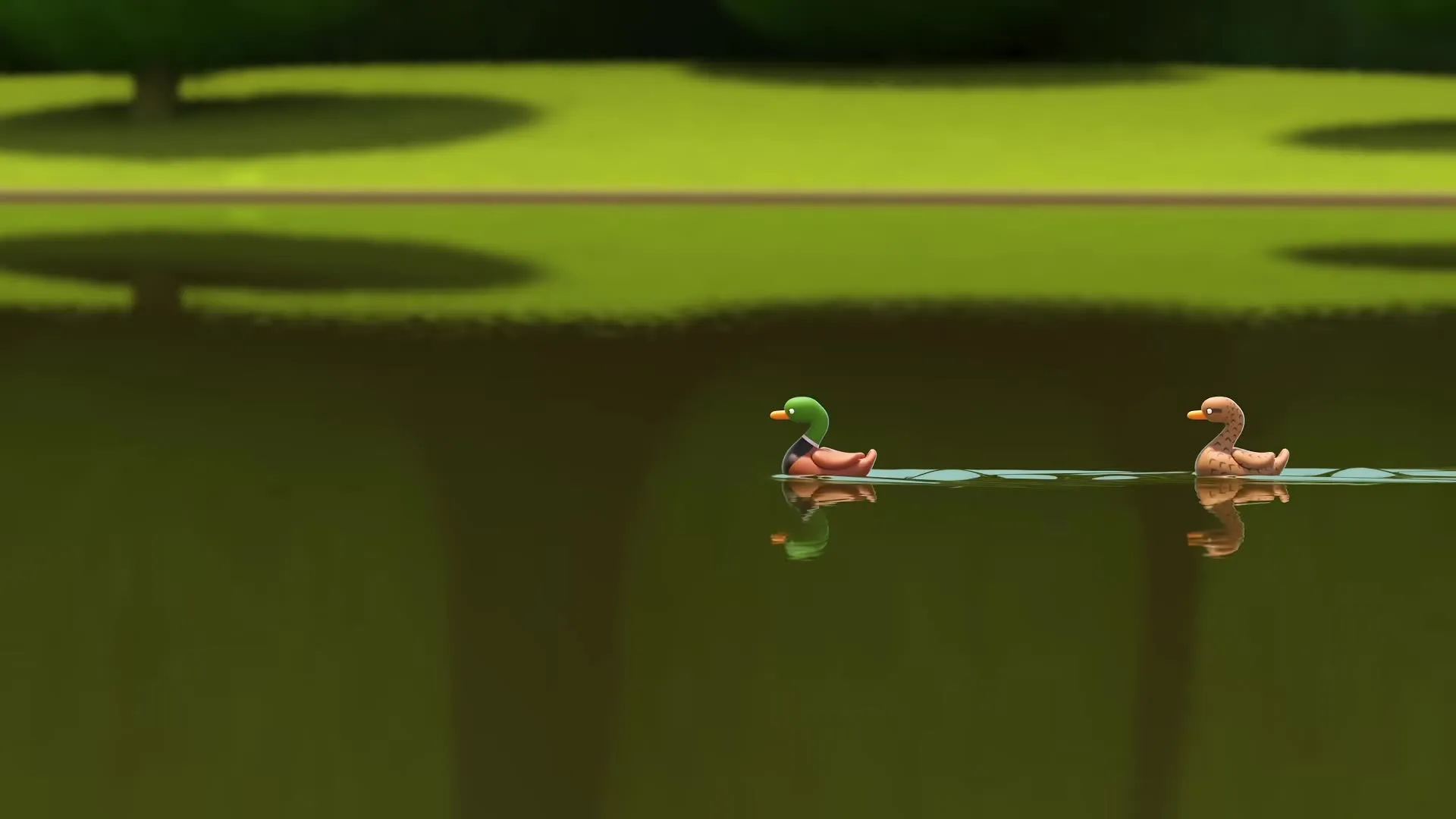 DUCKS