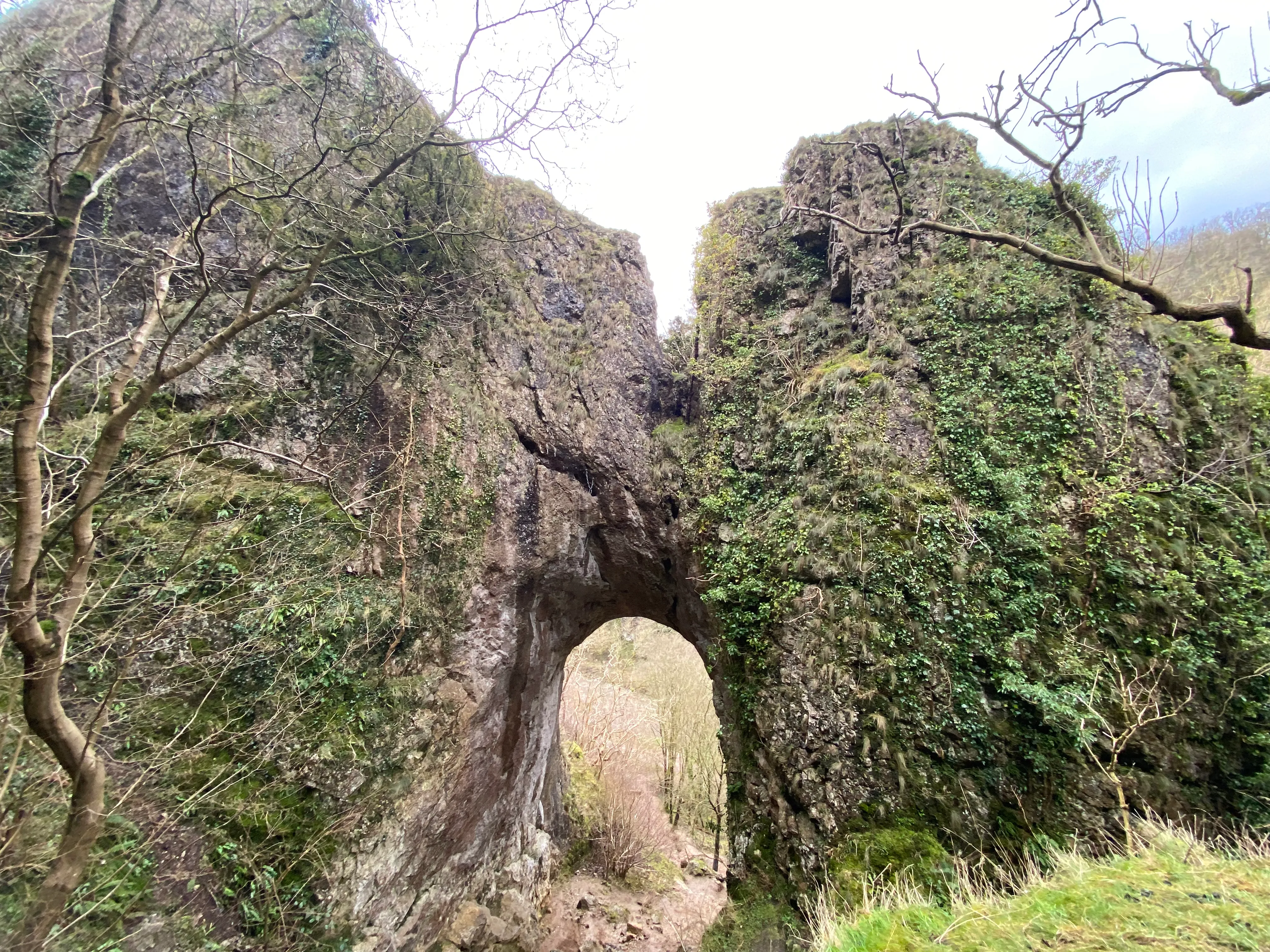 Reynard's Cave