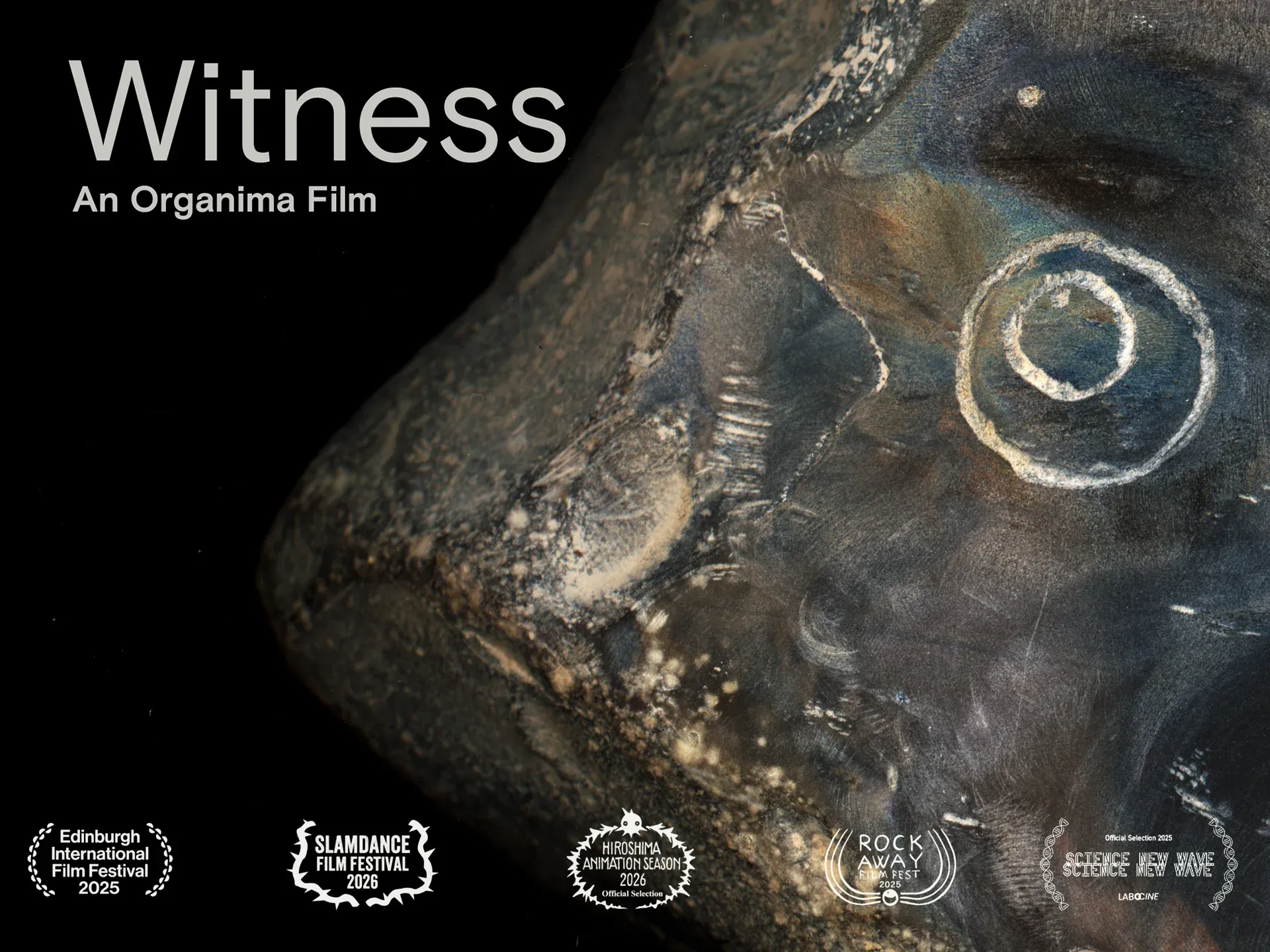 Witness: An Organima Film