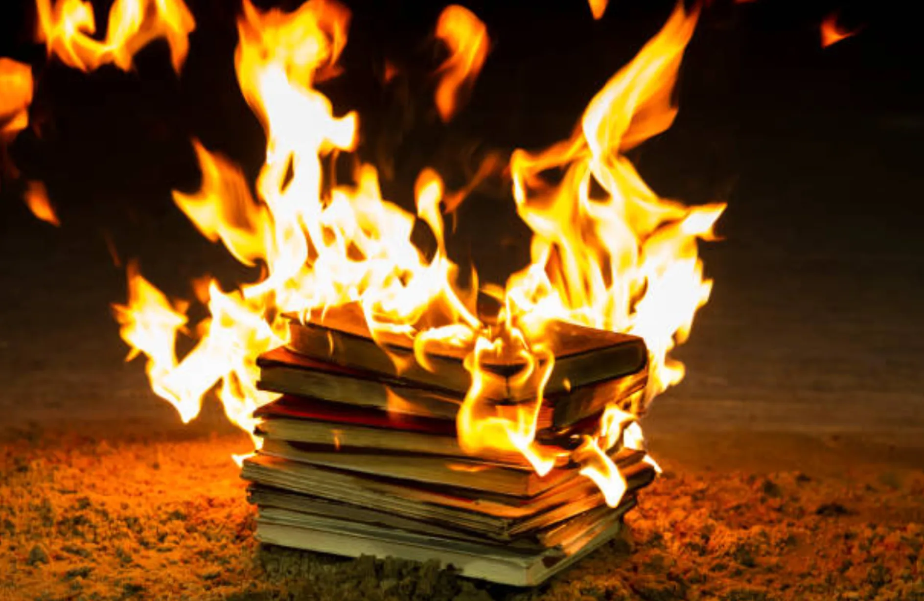 I'm the Guy Who Destroys Antique Books