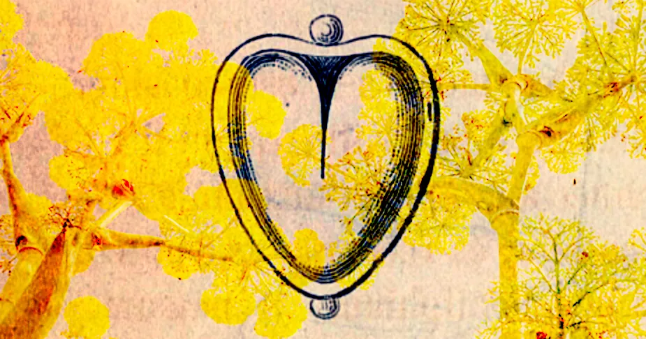 Silphium and the Origin of the Heart Symbol