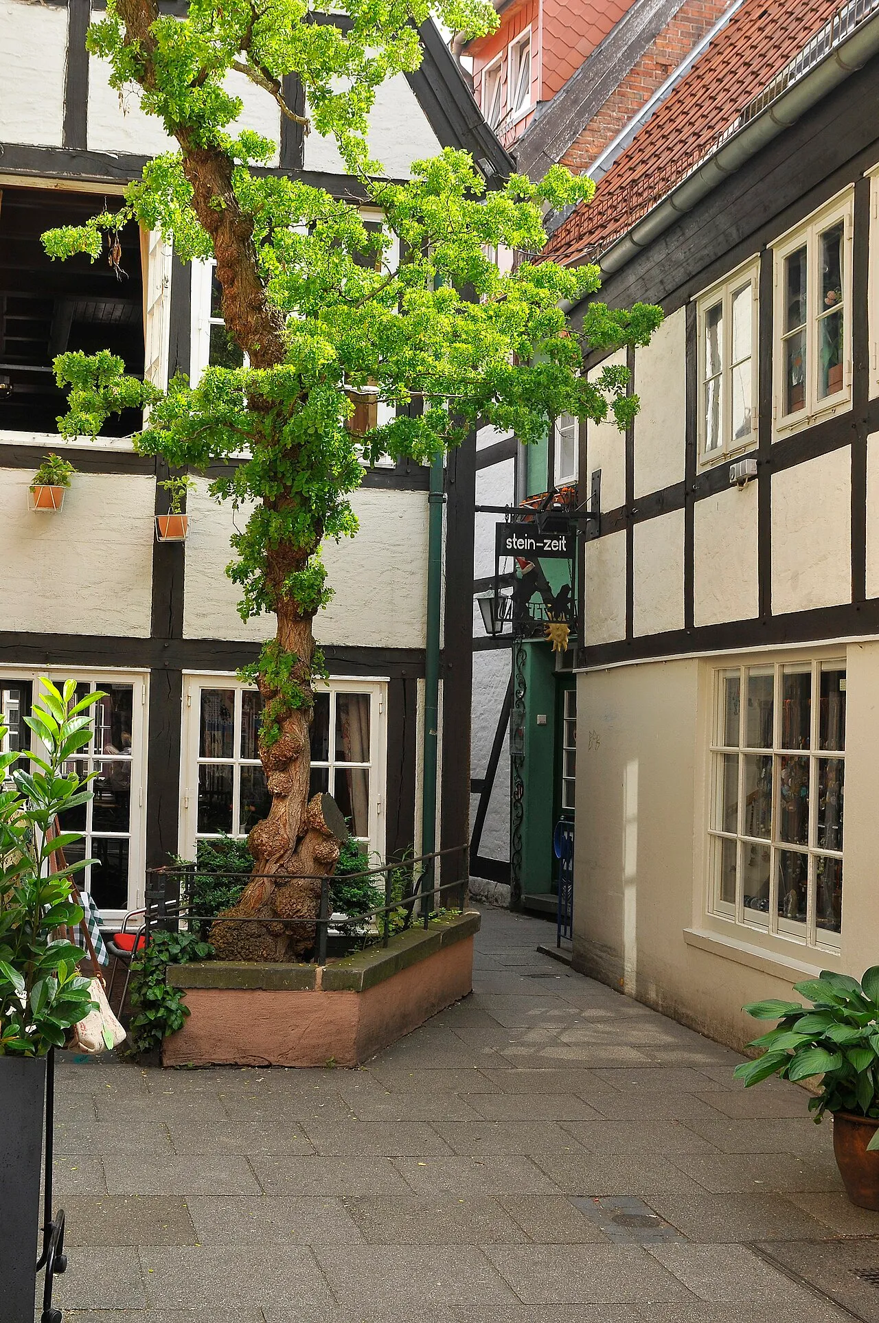 The Schnoor