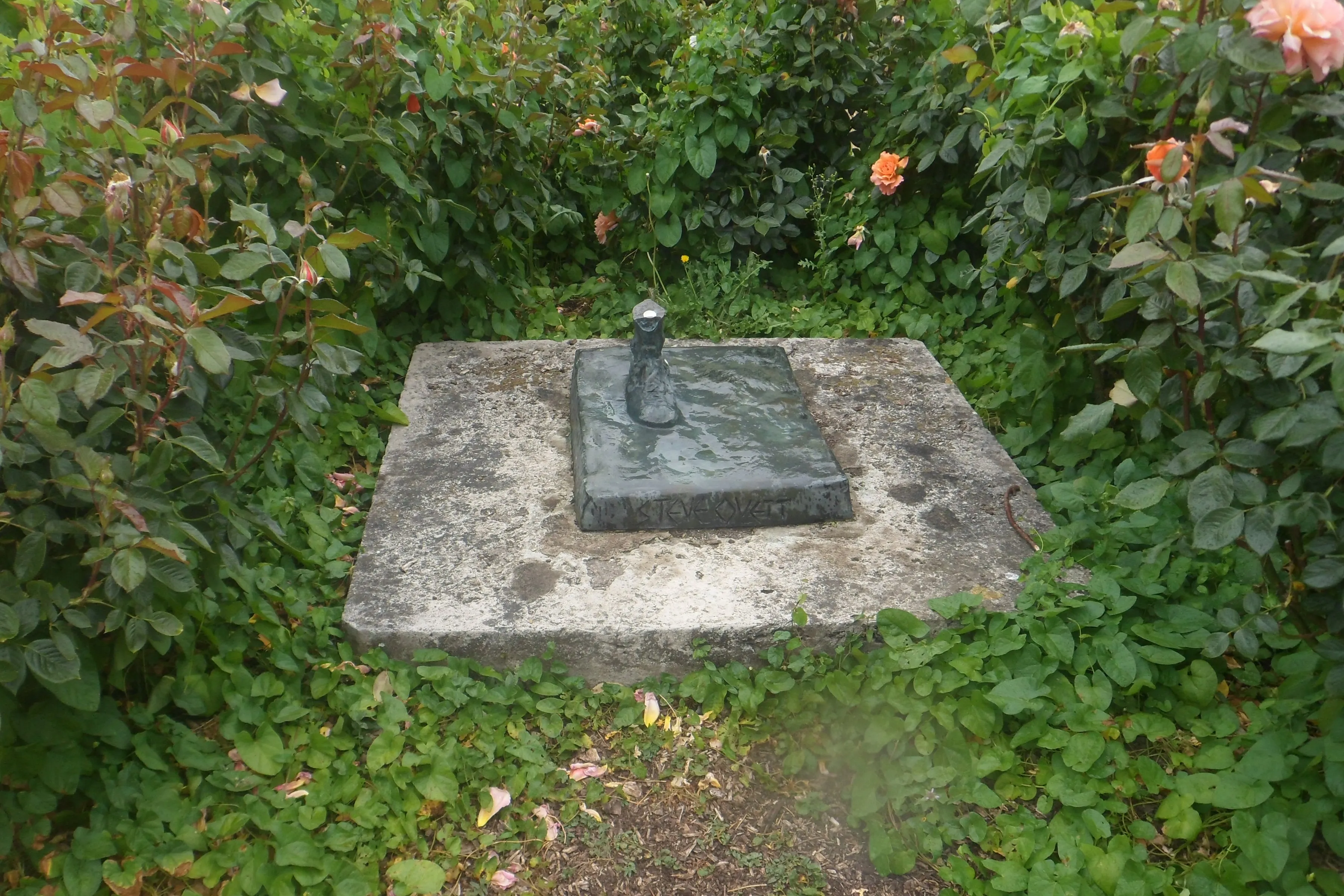 Steve Ovett's Foot