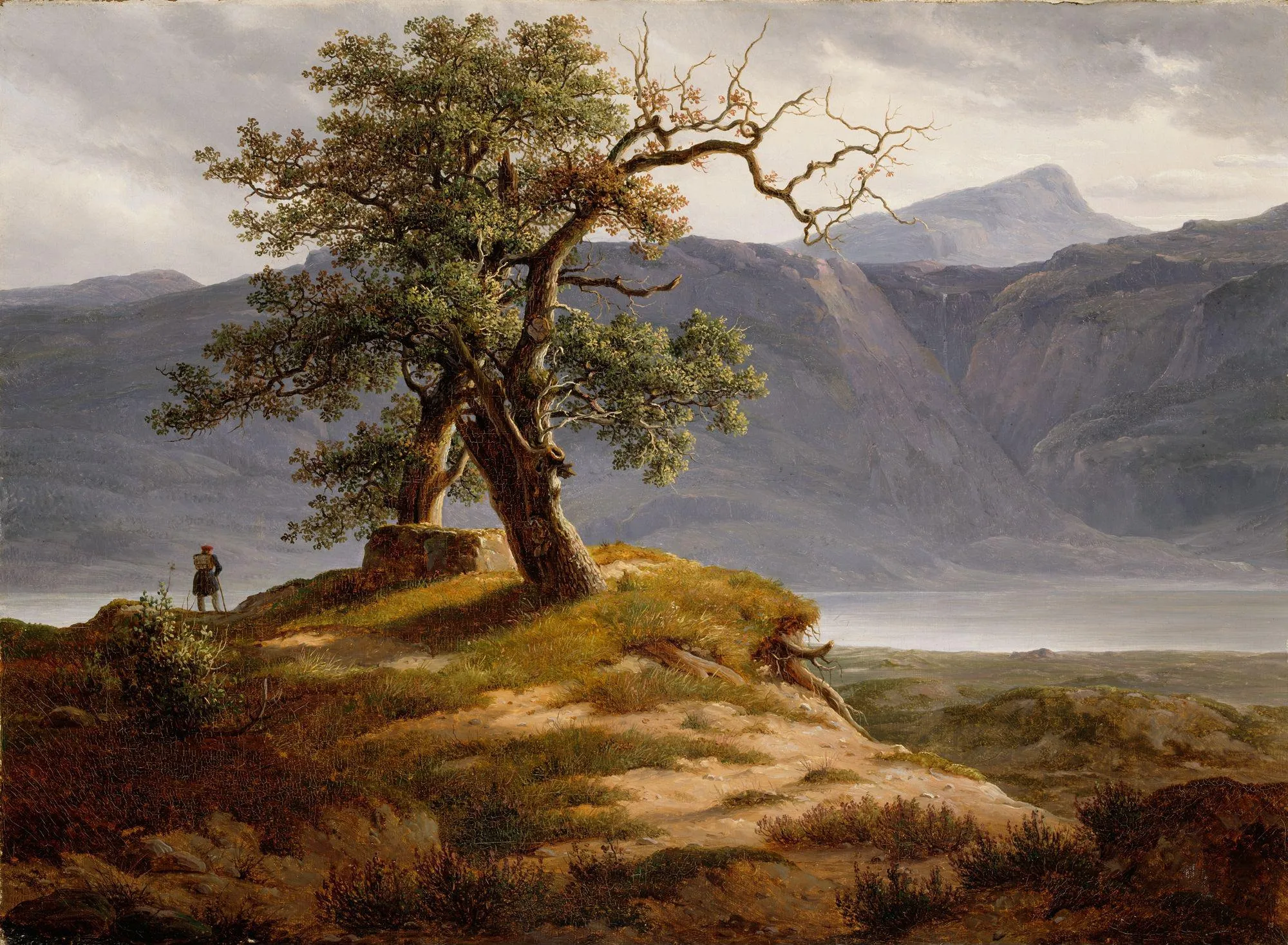 Thomas Fearnley, the brief Wanderer