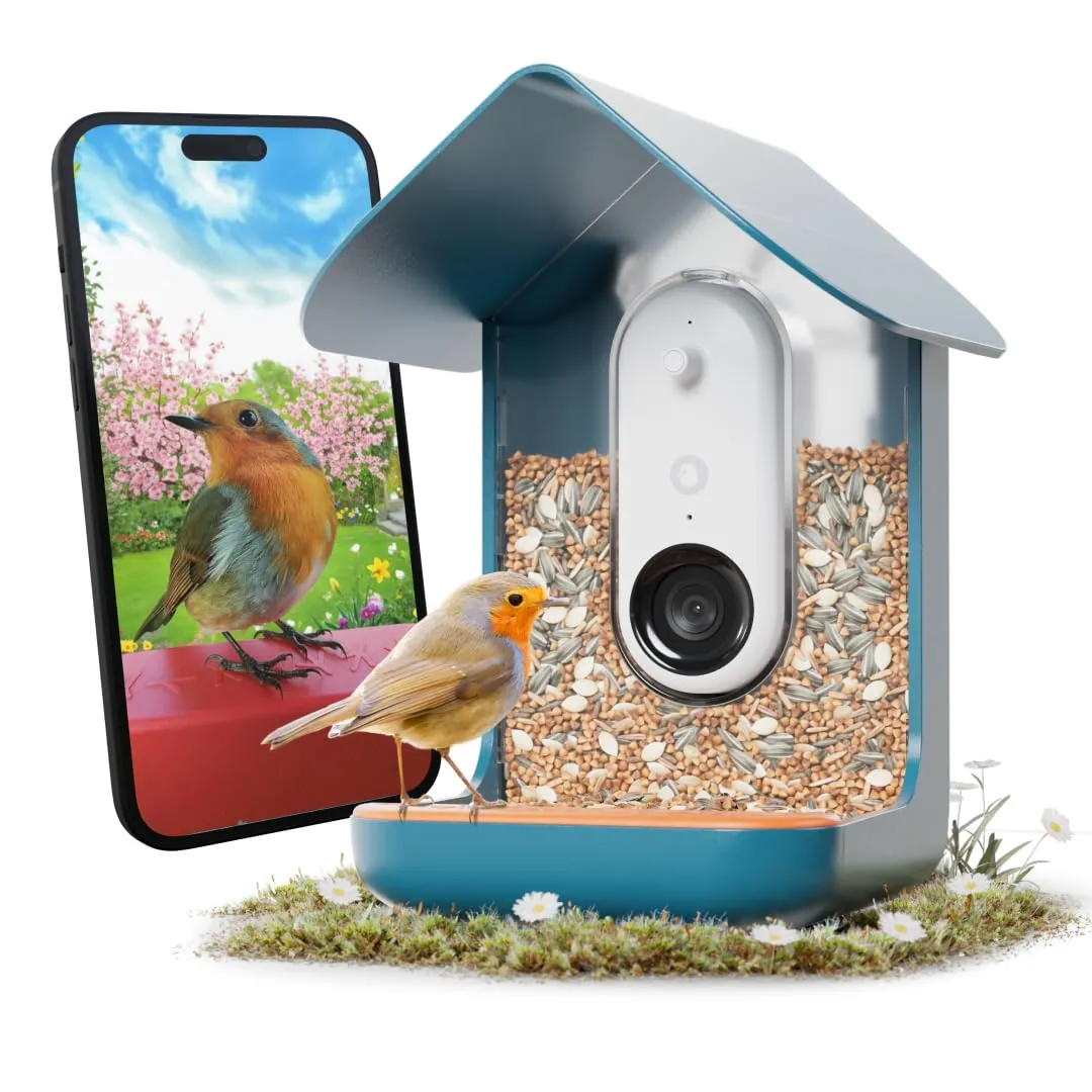 Birdfy AI Smart Bird Feeder