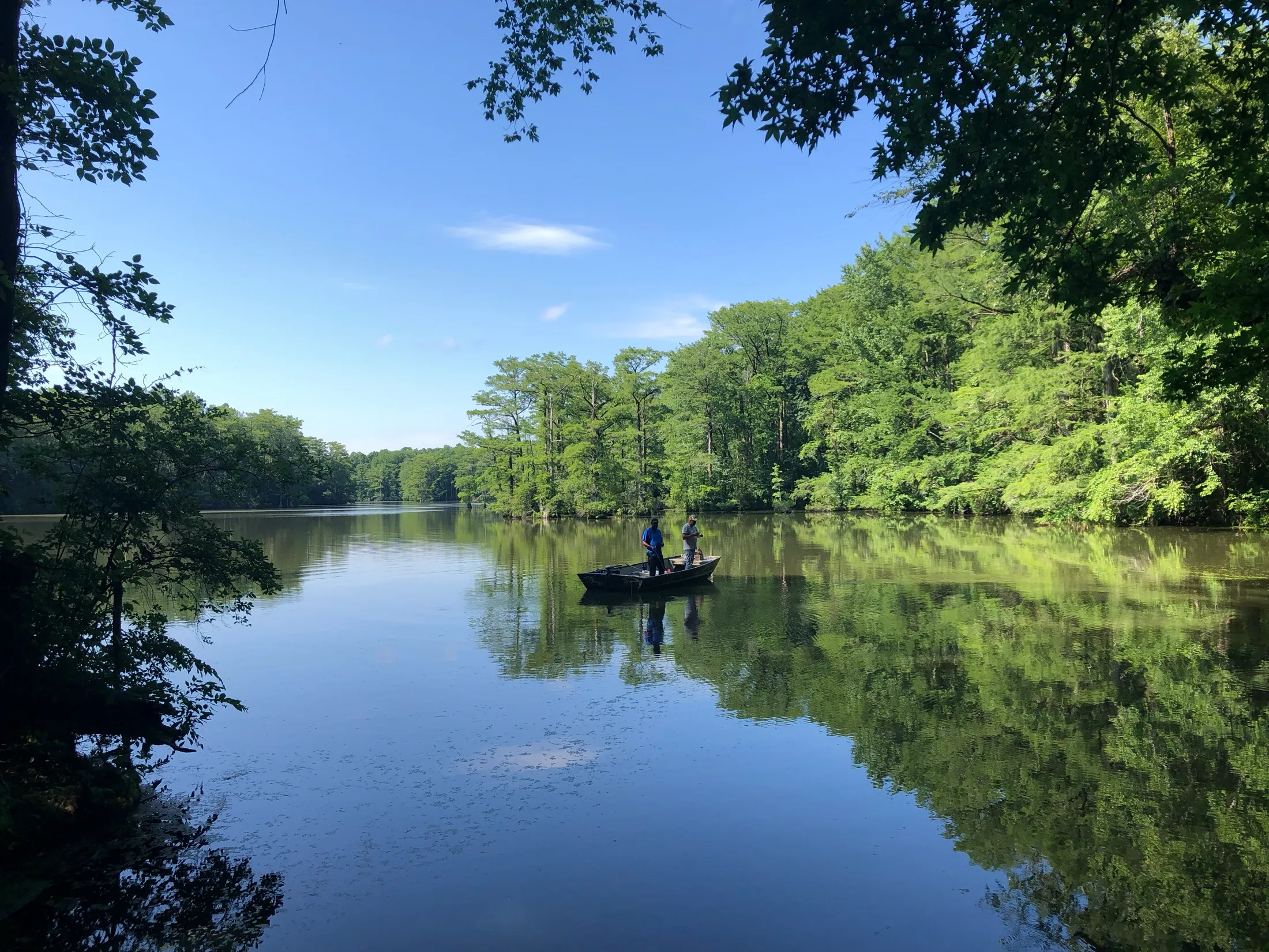 Jolly's Mill Pond