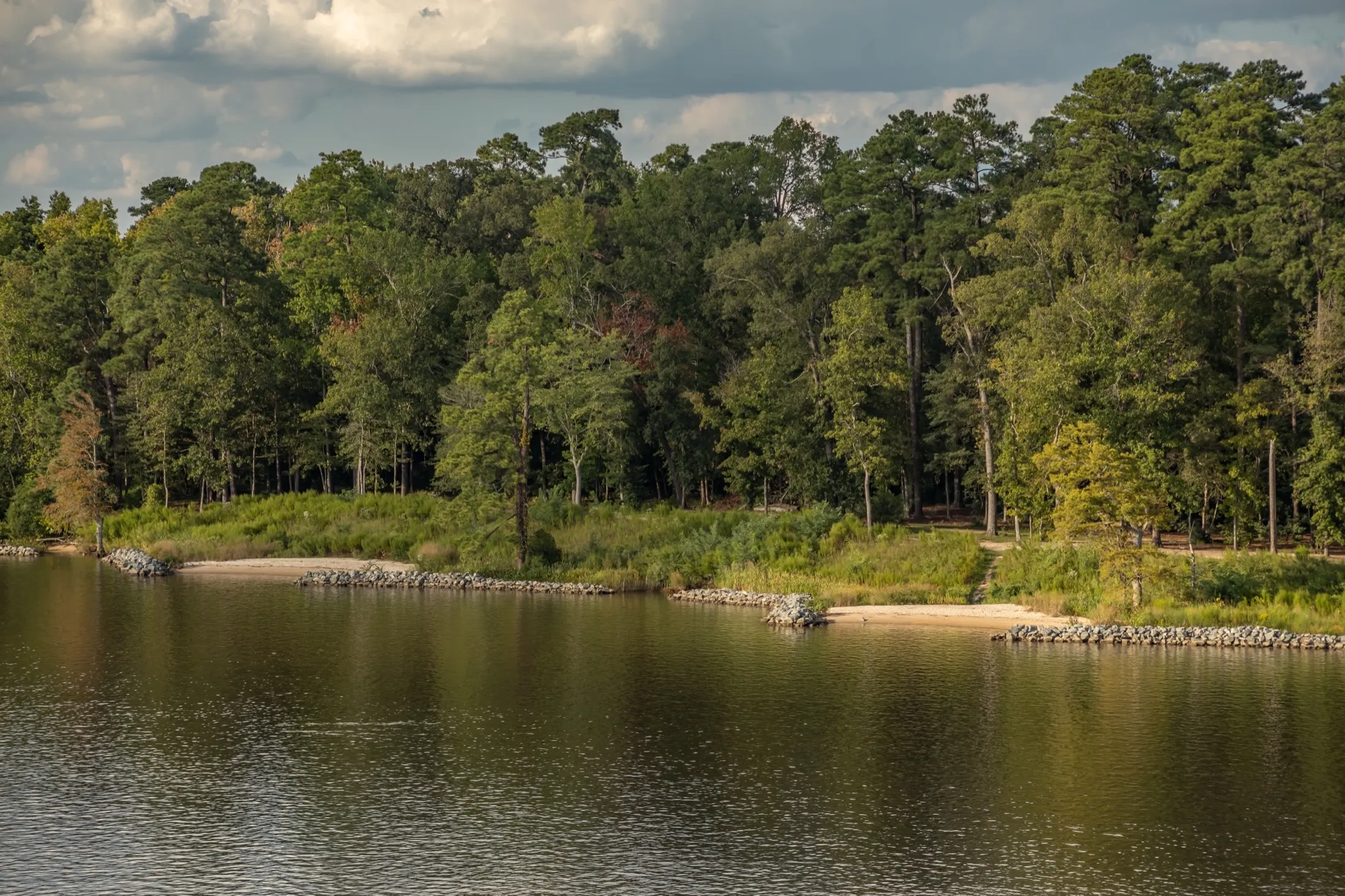Chickahominy Riverfront Park