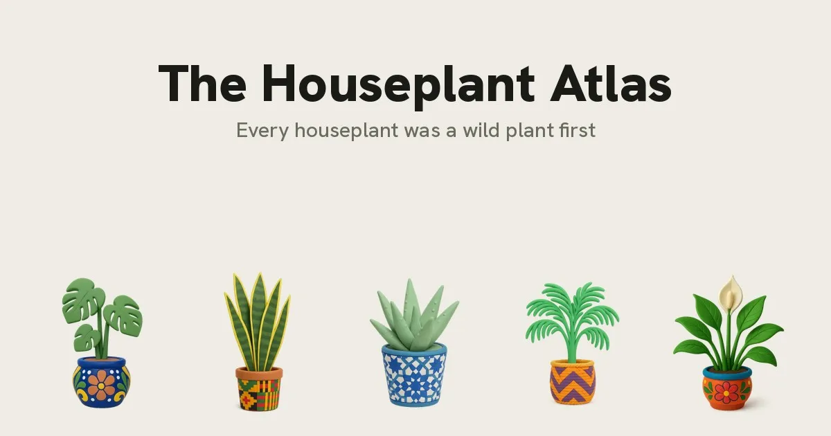 Plant Atlas