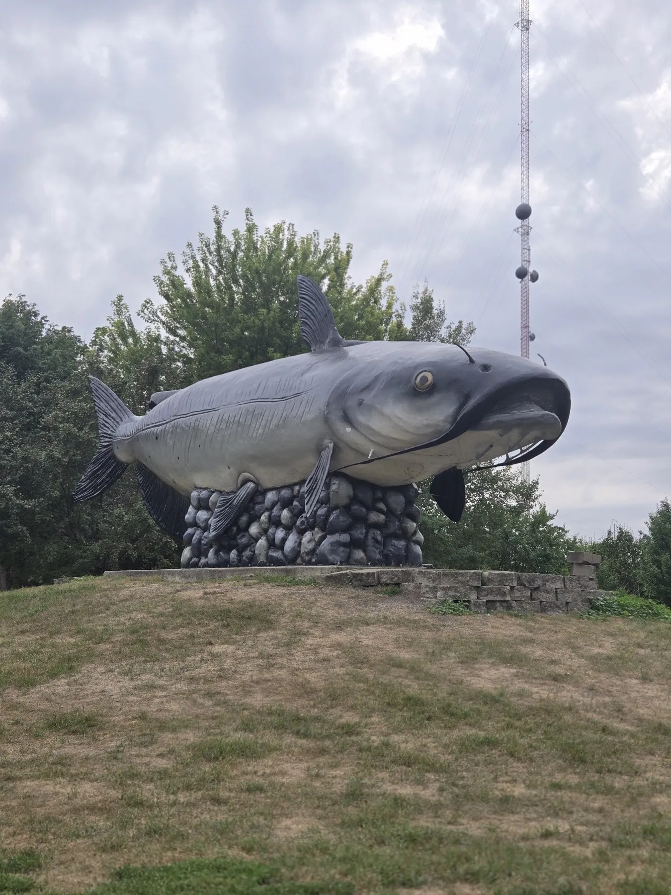 Wahpper: The World's Largest Catfish