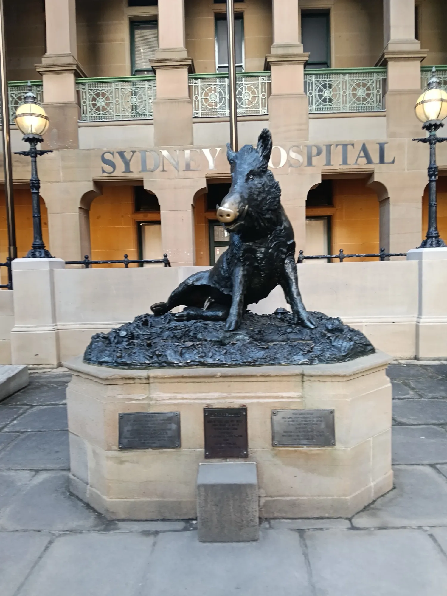 Sydney Hospital's Il Porcellino